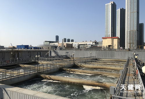 大连13座污水处理厂加大消毒剂投加量 守护城市用水安全的科学之道